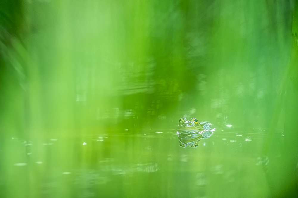 Platz 3 Conny Kleiner